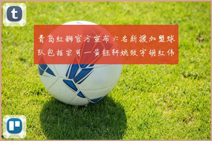 青岛红狮官方宣布六名新援加盟球队包括宗可一黄钰轩姚致宇胡红伟等人